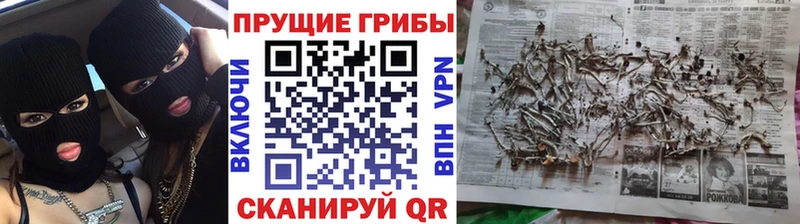 Псилоцибиновые грибы ЛСД  Заводоуковск 
